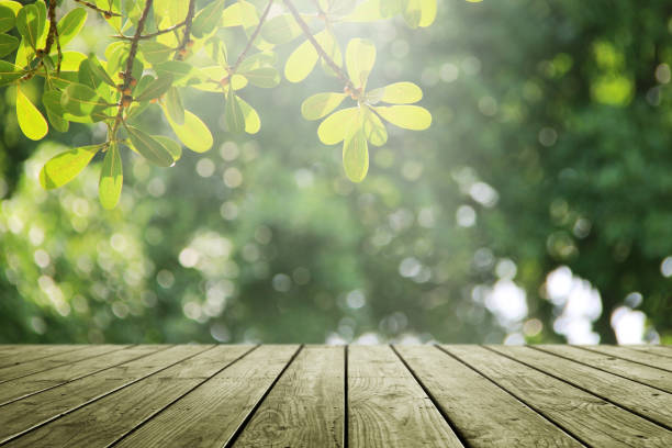 istock Wooden empty and blur green forest background. 1091804612