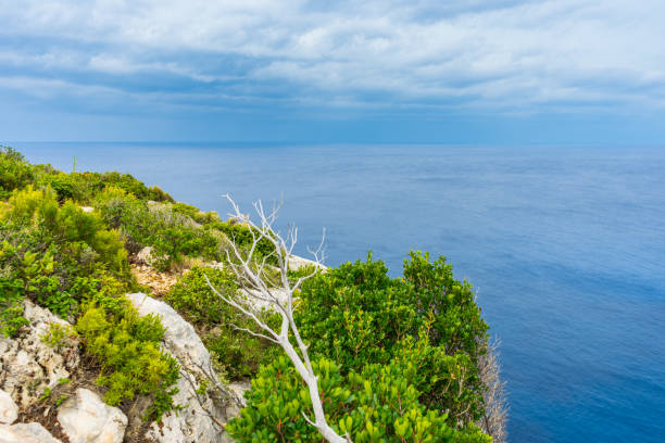 Photo of Greece, Zakynthos, Aspiration for silence on top of a cliff
