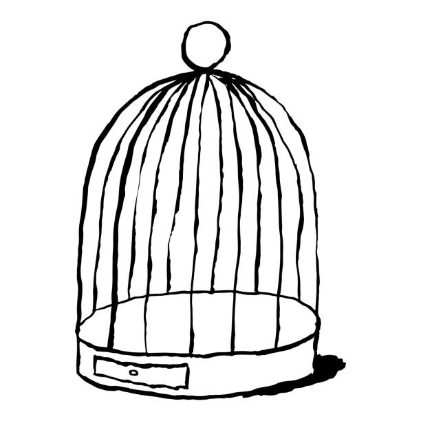 istock Black birds cage isolated on white background. Cartoon drawing was drawn with the brush and ink. 1091811992