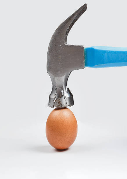 istock Hammer is breaking chicken egg. Concept of strength, durability, stress resistance, fortitude 1091817152
