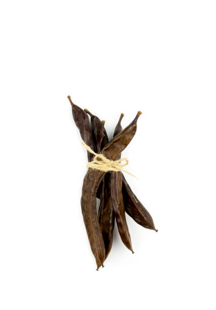istock Dry brown Carob pods. 1091819536