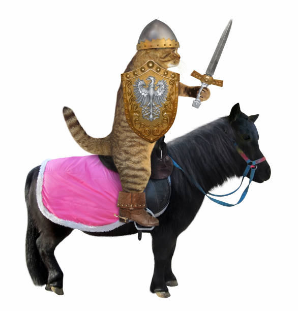 Cat with a sword on a black horse The cat knight in a helmet holds a sword and a shield with the coat of arms on a black war horse. White background. black knight stock pictures, royalty-free photos & images