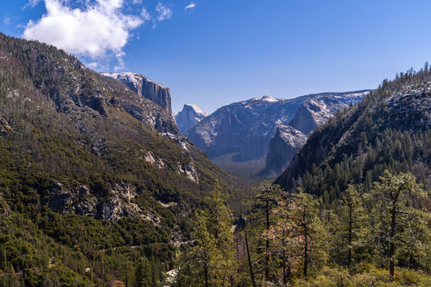 istock Yosemite national Park 1091828724