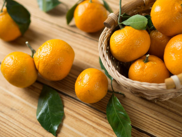 istock Tangerines in a wicker basket 1091833168