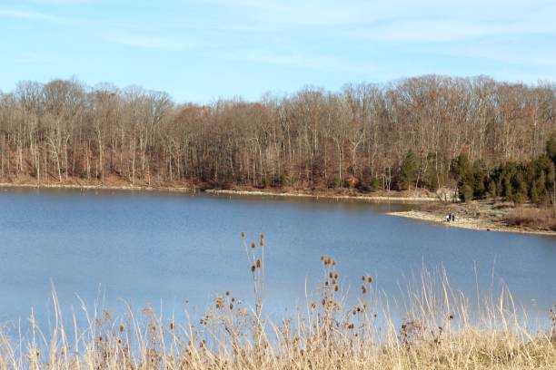 istock Beautiful Morning at the Lake 1091843154