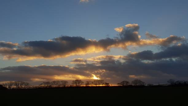 istock Clouds in sky at dusk with silhouettes of trees 1091844460