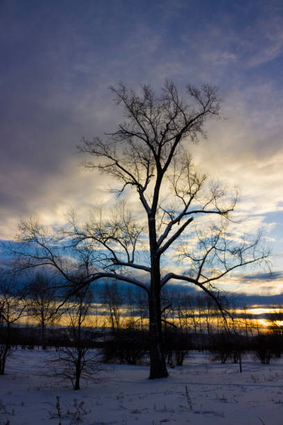 istock sunset landscape in winter in Russia 1091845280