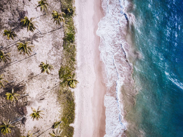 istock colors of brazil 1091846962