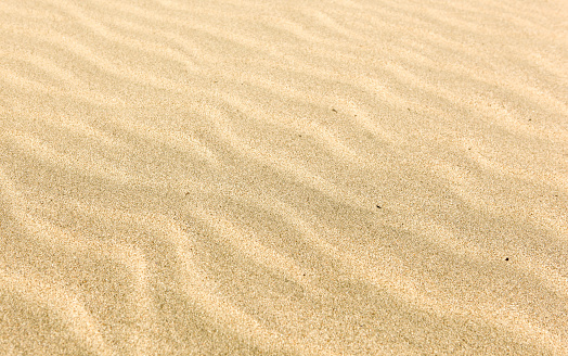Sand background texture