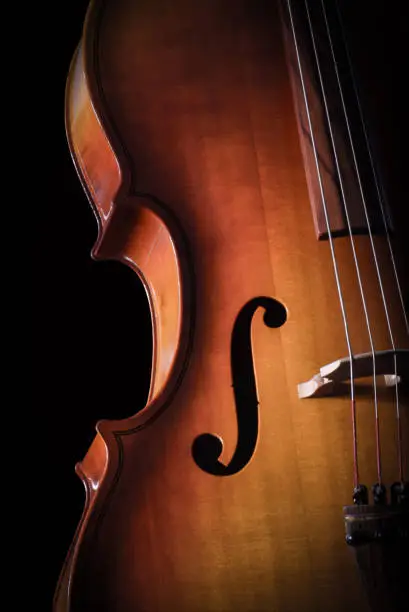 A high contrast color image of a classical style cello string instrument. The wood cello has vibrant color cut out on a black background.