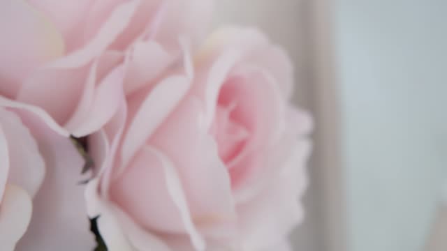 Pink Rose in a jar at home