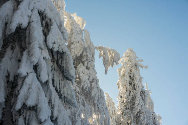 istock Fantastic winter mountain landscape glowing by sunlight 1091866980