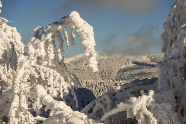 istock Fantastic winter mountain landscape glowing by sunlight 1091867246