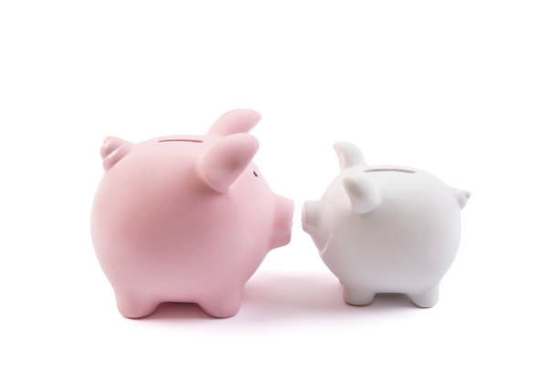 istock Two piggy banks on white background with clipping path 1091870246