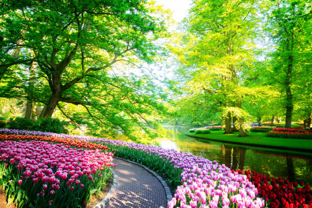 istock fresh lawn with flowers 1091870262