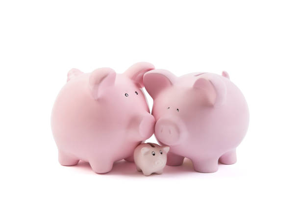 istock Three piggy banks on white background with clipping path 1091870264