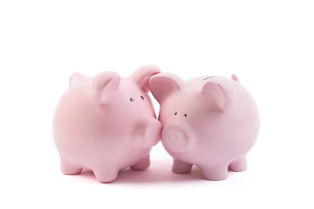 istock Two piggy banks on white background with clipping path 1091870270