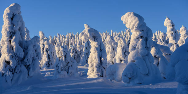 istock Snow sculpture in nature. 1091870732