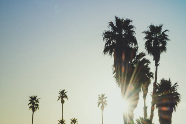 istock Palm Springs Dramatic Sunset Sky Landscape 1091873212
