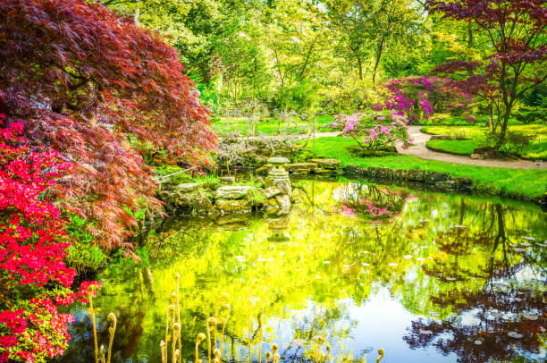 istock japanese garden in The Hague 1091875222