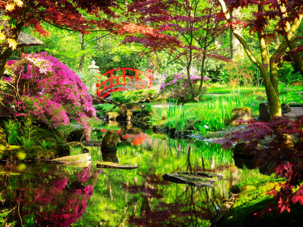 green grass and blooming trees in japanese garden in The Hague, Holland, retro toned