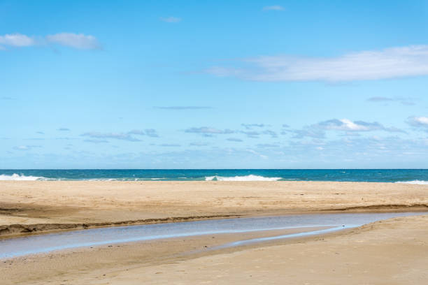 istock Desert and calm beach at the Campeche, Florianopolis, Brazil. 1091877430