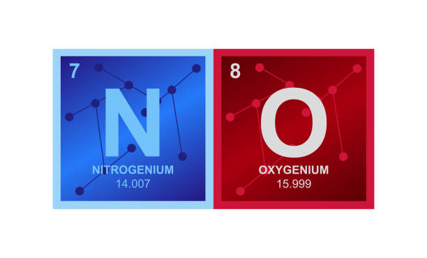 ilustraciones, imágenes clip art, dibujos animados e iconos de stock de ninguna molécula de gas de óxido nítrico formado por moléculas y átomos de nitrógeno y oxígeno - nitric oxide