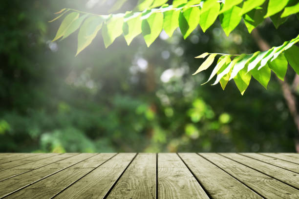 istock Wooden table and blurred green garden background. 1091879964