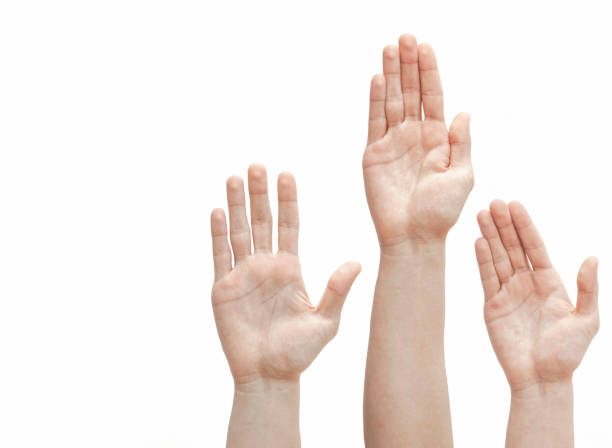 istock Raised up hands, palms, fingers on white background 1091883408