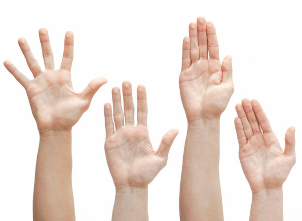 istock Raised up hands, palms, fingers on white background 1091884660
