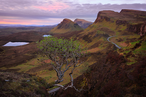Pink sky through the clouds just before sunrise over the mountains of the Quiraing in the green otherworldly landscape of the Trotternish Ridge on Skye island in Scotland, UK.