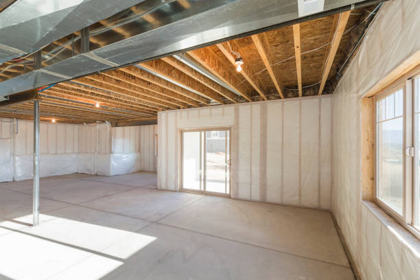 Unfinished Basement stock photo