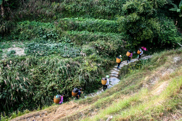 istock Travel in China 1091887710