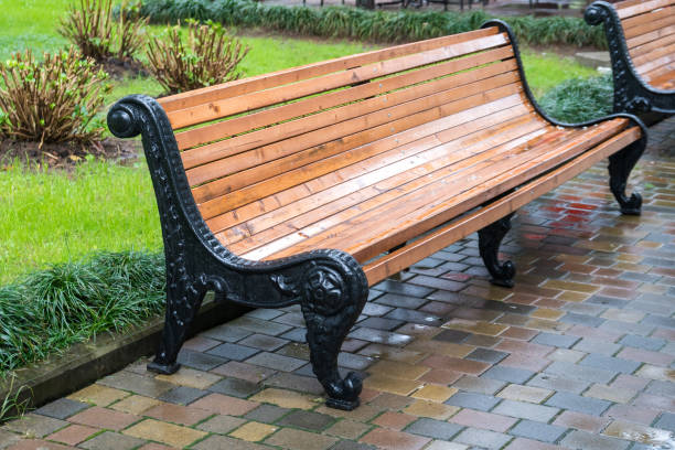 istock Benches in the Batumi Park on a rainy day 1091892234
