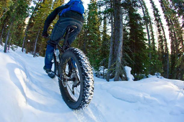 istock Canada Winter Fat Bike Adventure 1091892504