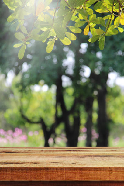 istock Wooden table and blurred green garden background. 1091894340