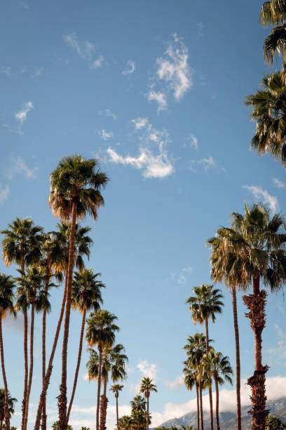 istock Palm Springs Scenic San Jacinto Mountain Landscape 1091894600