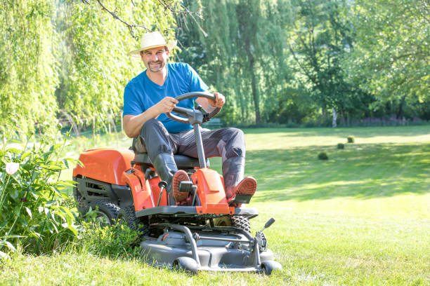 istock young men man boy on a grass trimmer tractor 1091897194