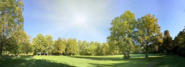 istock Building land for new construction project on green meadow, plot for construction area 1091903258