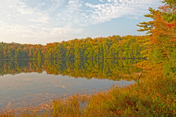 colores de otoño por la mañana en un lago de northwoods - arrowhead fotografías e imágenes de stock