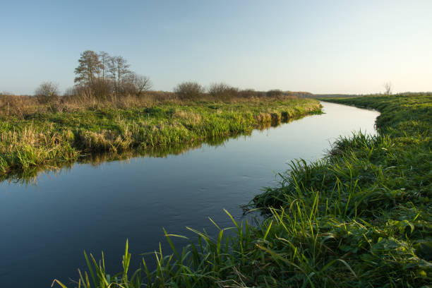 istock Green grassy shore and calm river. 1091903544