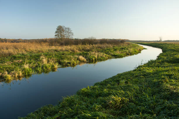 istock Quiet river through a meadow. Polish golden autumn 1091903546