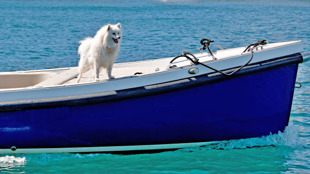 istock Sailing Cruising Lifestyle, Australia. 1091907948