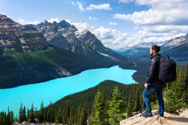 excursionista en peyto lake en parque nacional banff, alberta, canadá - rocky mountains exploration horizontal outdoors fotografías e imágenes de stock