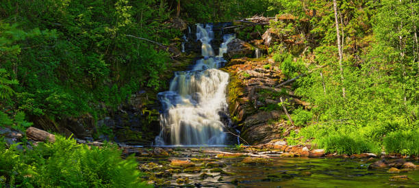 istock Panorama of the picturesque forest waterfall 1091924040