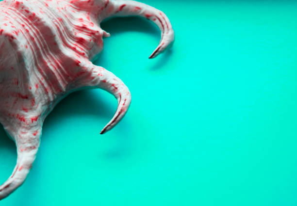 Seashell on a turquoise background. Decorative background for travel agencies.