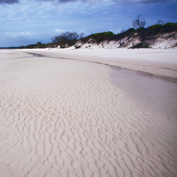 Sand ripple pattern on the beach at low tide