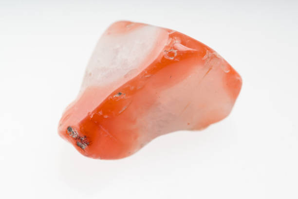 istock Southern red agate mineral stone sample with white background 1091940972