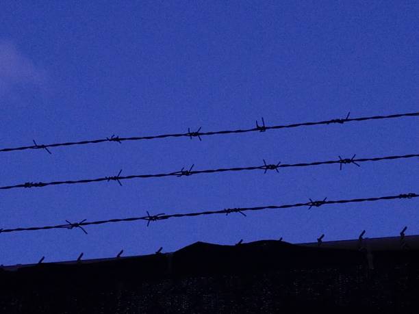 istock barbed razor wire above wall at dusk 1091942602