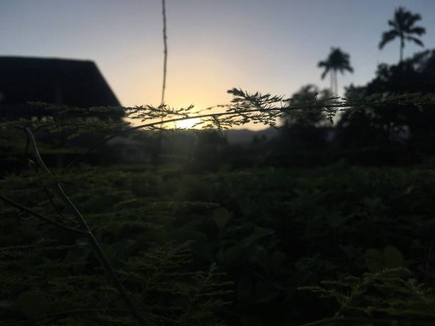 istock Sunset in Hanalei on Kauai Island, Hawaii. 1091993224